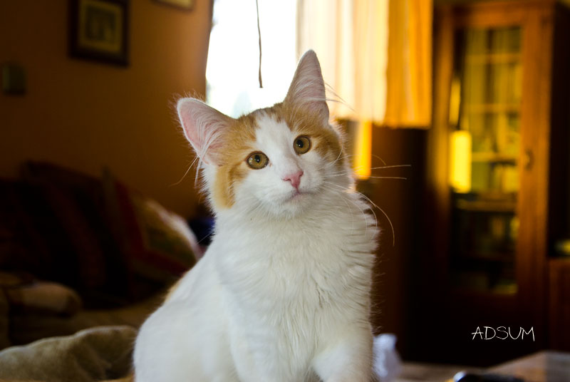 DSC 9079