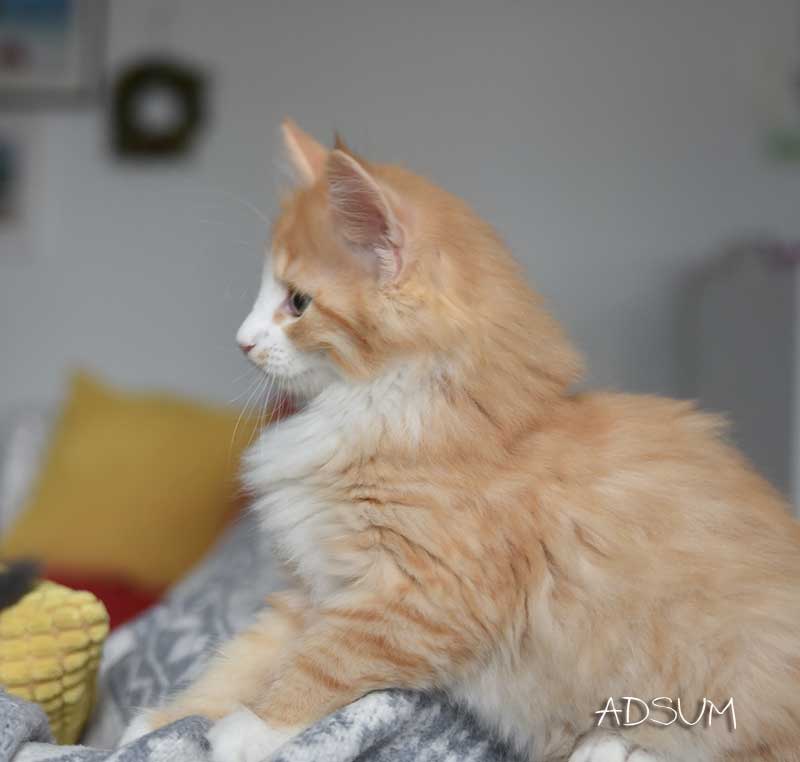 DSC 0806