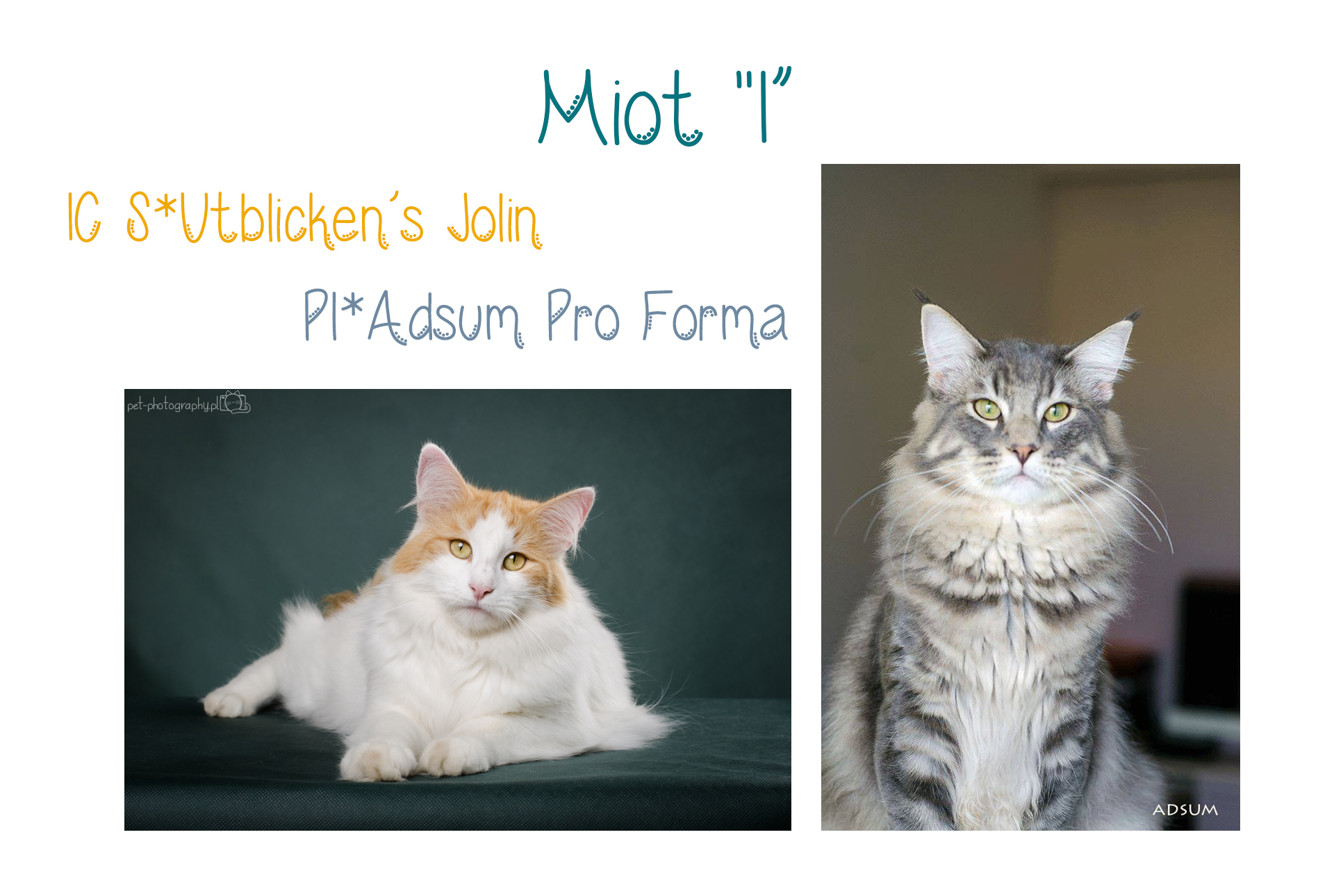 Miot-I