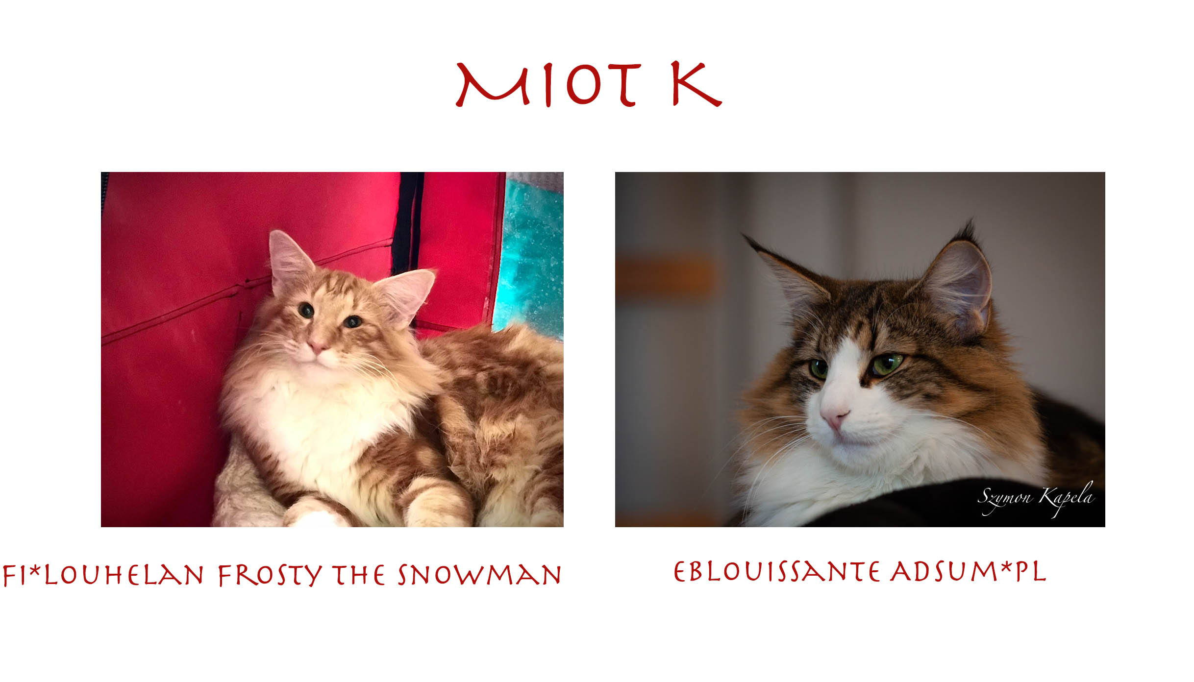 Miot K1