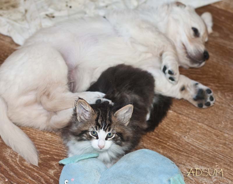  DSC0007