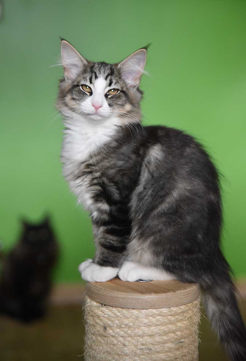 DSC 6125