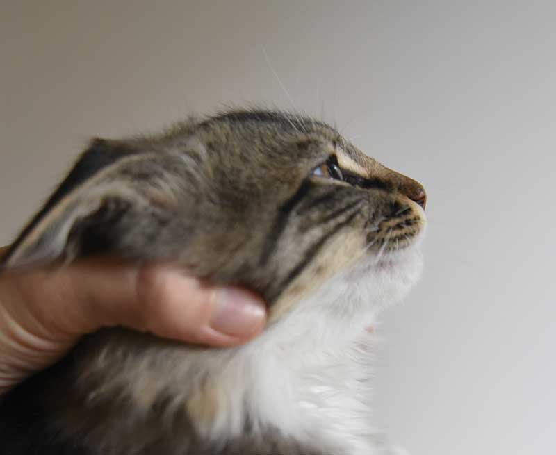 DSC 6157
