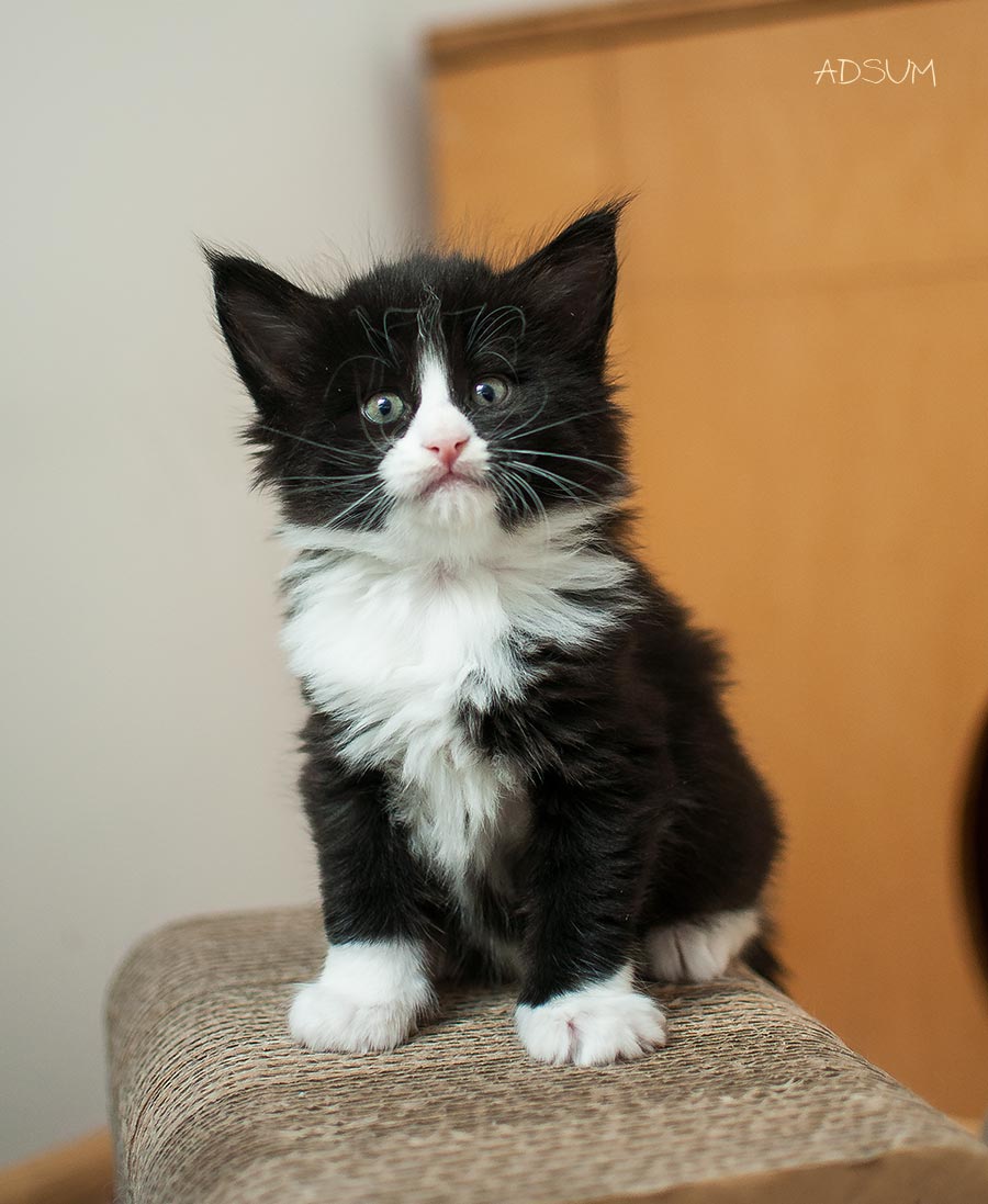  DSC0252