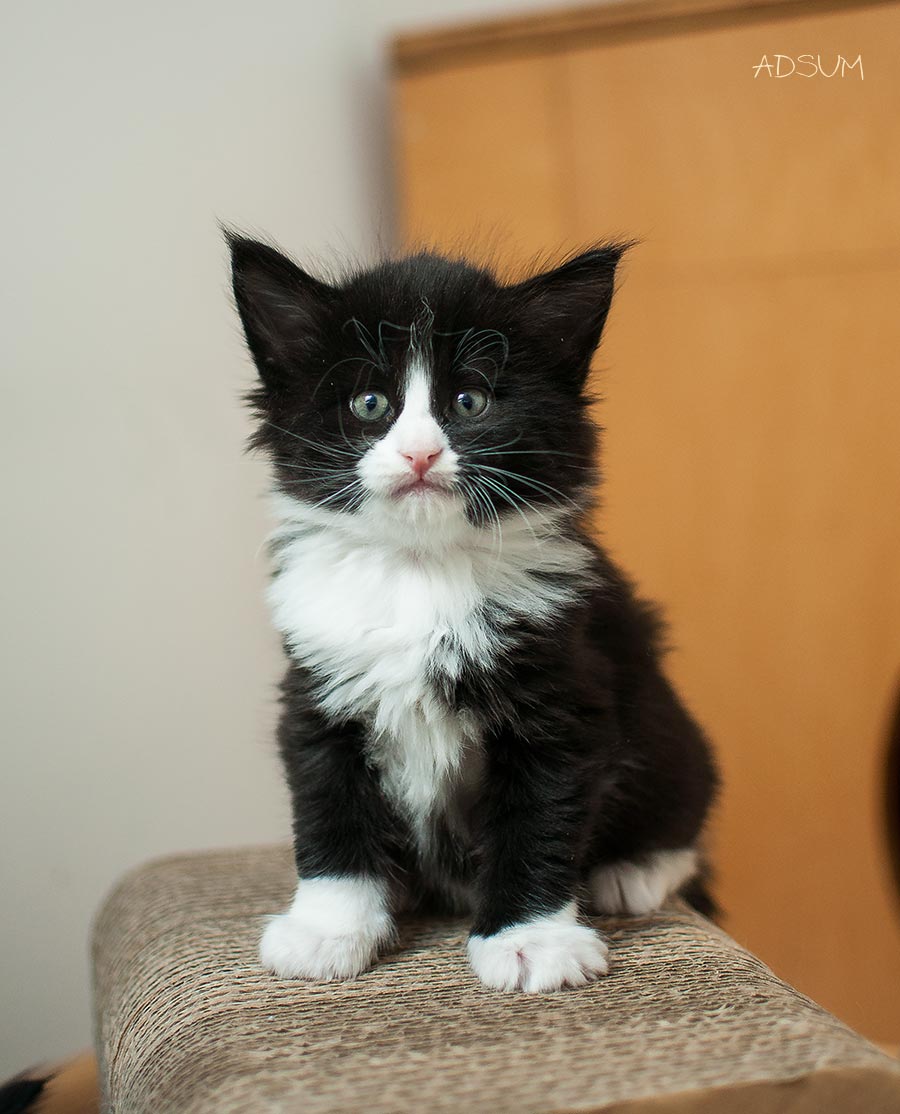  DSC0256
