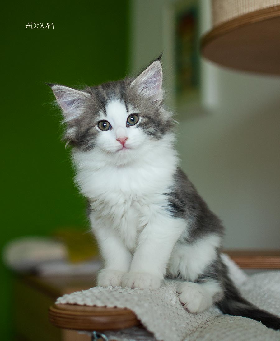  DSC0025