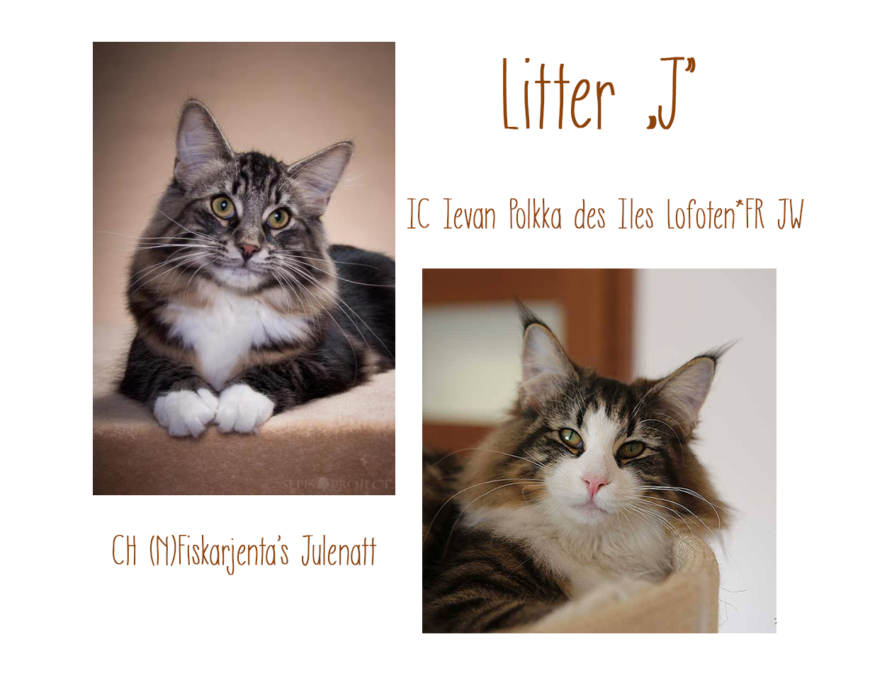 Miot-J