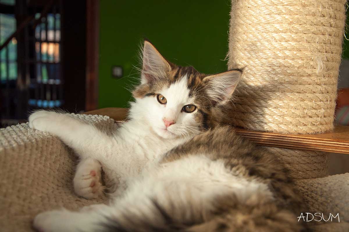  DSC0023