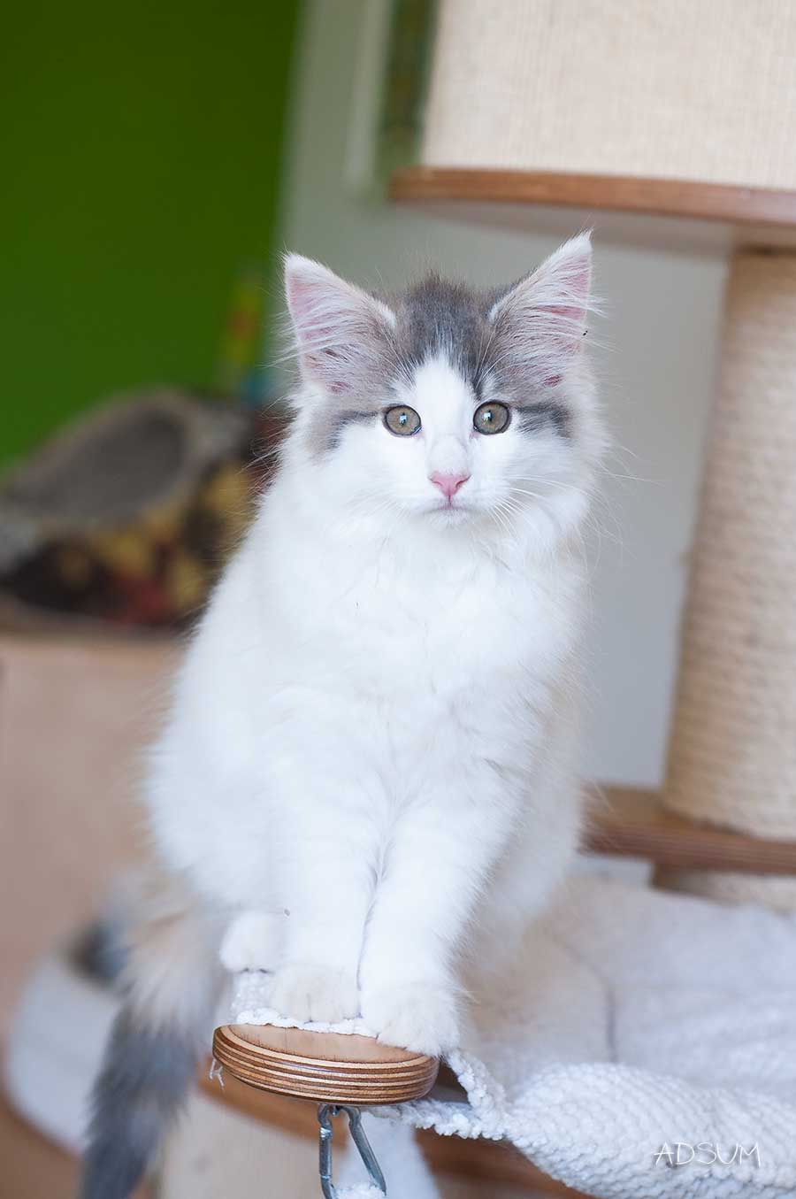 DSC 0483
