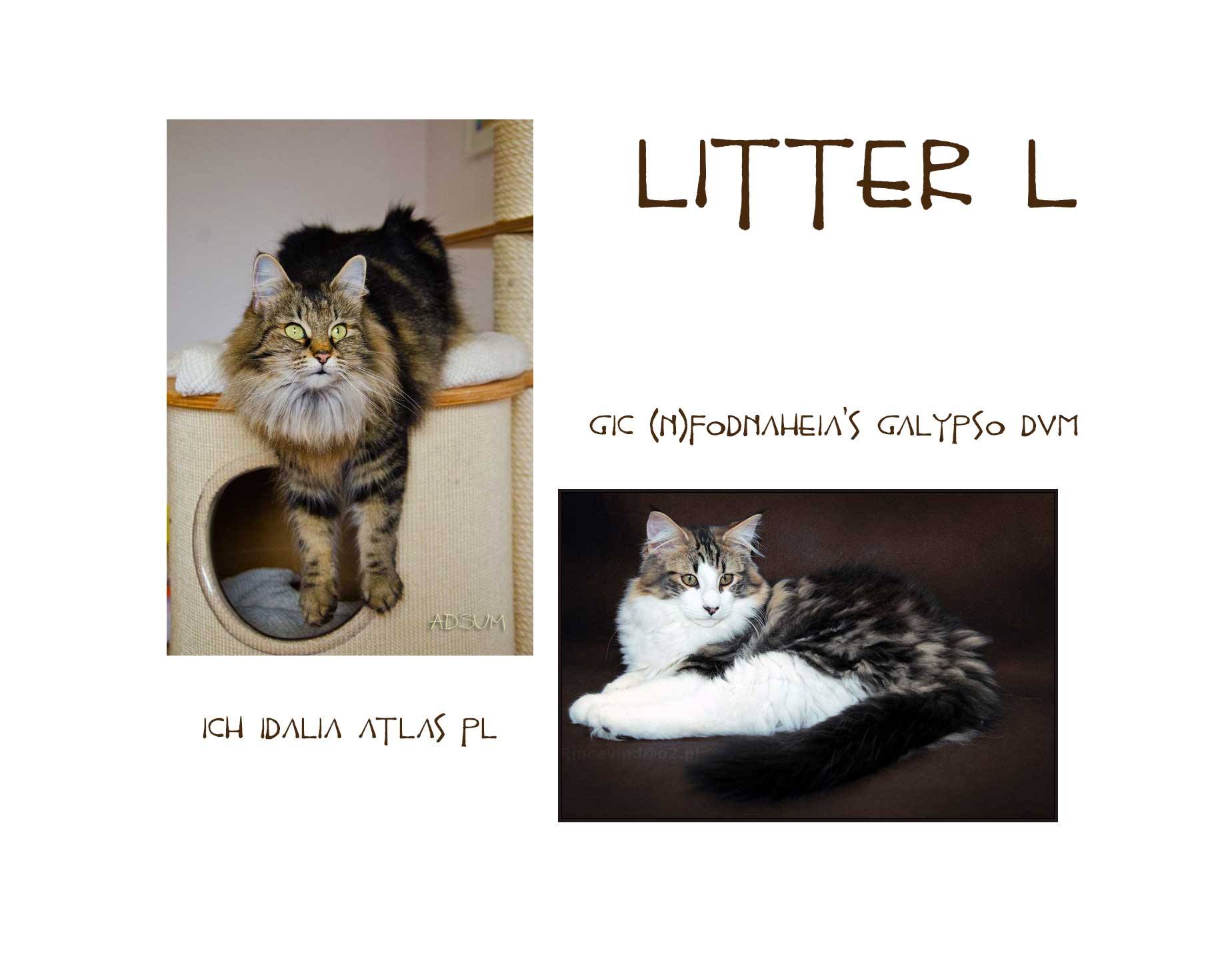 litter L